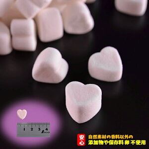 ~j n[g}V} sN y3980~ȏ  z َq ٍޗ gbsO Ɩp R[Q BBQ ۑ sgp Y S