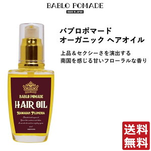 ou |}[h BABLO POMADE ou|}[h I[KjbN wAIC nCAvA̍ 50ml Y 􂢗Ȃg[gg X^CO Zbg