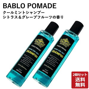 y܂Ƃߔzou |}[h BABLO POMADE ou|}[h N[~gVv[ VgXO[vt[c̍ 200ml 2{Zbg [Y A~m_ N[ u g[ ⊴]