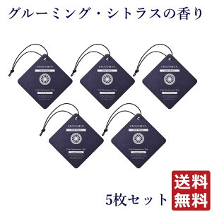 ySi|Cg10{11/27 1:59܂ŁzyJ[tOX^O5ZbgzPROUDMEN vEh J[tOX^O 5Zbg O[~OEVgX ԗpF