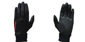ING-21 Ci[O[u h/h/oCN/Ci戵