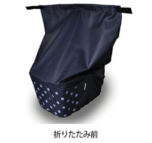 396038 NSAR148 [gbvoXPbgJo[ lCr[ 2020y]ԁzyPANASONIC