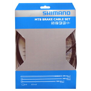 Y80098021 MTB XeX u[LP[uZbg ubNy]ԁzyV}mz