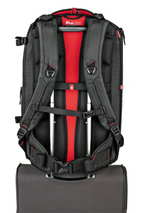 楽天市場】【OUTLET】Manfrotto マンフロット PL シネマティックバック 