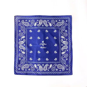 Matthew & Amelia o_i BLUE u[ 唻 nJ` {[CYCN skate XP[g Xg[gn JWA F AJW JWA  IV IXX