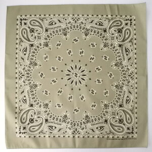 HAV-A-HANK nonN o_i nJ` AJ v[g Mtg fB[X Y Rbg 唻 havahank Op XJ[t