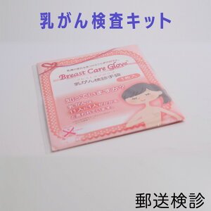 乳がん検診手袋 乳がん自己検査キット 自宅 検査 健康診断 【メール便】 【送料無料】
