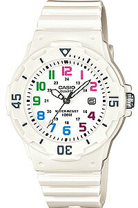 JVI X|[cEHb` 10Ch AiO rv fB[X tJ_[ 킢 zCg  (LR12FBP-603) ]x[ 24ԕ\ ₷ ArA jOEHb` CASIO C