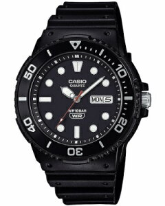 JVI X|[cEHb` 10Ch Y AiO _Co[Y rv  ₷ ArA t j J_[  ]x[ (SD25SP02) jOEHb` JVI CASIO }