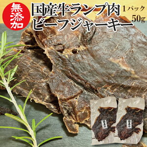 yƐzr[tW[L[(Y) 100g(50g×2) v Y ЍH[ Ⓚ H꒼ Mtg yƐqx[R̃Tvv[gz