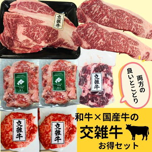 国産交雑牛(和牛×国産牛)のお得セット(焼肉スライス、ステーキ、ひき肉、切り落とし) 1.9kg 工場直送 冷凍 ギフト対応可(+300円) 【自家製八王子ベーコンのサンプルプレゼント中】商品番