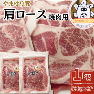 ��܂��؁@�����[�X�ē��p�@1kg(500g×2P) �M�t�g�Ή���(+300�~�j �x�[�R�����܂������i�ԍ��F100266-2