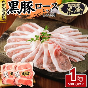  ؃[X ؔ؂XCX 1kg(500g×2pbN) ؓ ؃[X [X H꒼ Ⓚ Ɩp H꒼ Ⓚ MtgΉ(+300~j