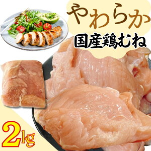 y炩V[Yz炩 Y {ނ Ղ2kg (1pbN) sV[YlCit { { {l ނ wV[ H꒼ Ⓚ Ɩp seʃpbNt yXIXXz Mtg