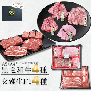 _Vi^Hה A5A4јa4큕F1 G(a×Y) ēMtg4`6lO 600g Ⓚ Mtga v[g ē  ~ BBQ  䒆 Ε Ε H꒼ Ⓚ 