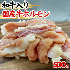 【和牛入り国産牛ホルモン】プリプリ ホルモン 国産 もつ鍋 牛モツ 和牛 脂付きホルモン 小腸 焼き肉 バーベキュー BBQ ギフト 【自家製八王子ベーコンのサンプルプレゼント中】