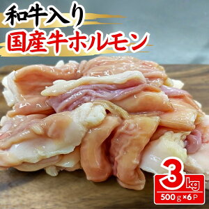 ya荑Yzzvv z Y  c a tz  Ă o[xL[ BBQ Mtg yƐqx[R̃Tvv[gz