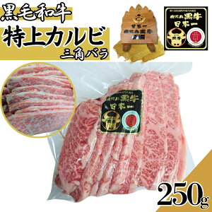 鹿児島黒牛 和牛 特上カルビ 焼肉用(バラ)250g(1パック) 送料無料【自家製八王子ベーコンのサンプルプレゼント中】ハロウィン クリスマス おせち 誕生日 記念日