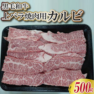јa o Ăp Jr 500g(1pbN) yƐqx[R̃Tvv[gznEB NX}X  a LO