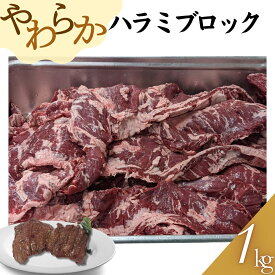 やわらかハンテン（ハラミ）ブロック　1kg(1パック) 牛肉 工場直送 冷凍 カットステーキ 焼き肉 焼肉 BBQ バーベキュー 《大容量パック》 ギフト