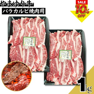 _10OFFX[p[SALE^܂苍 o Jr Ăp XCX 1kgi500g×2pbNj G  ē H꒼ Ⓚ Mtg