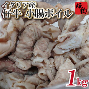 C^AY e  {C ēp 1kg(500g×2pbN) Ă o[xL[ BBQ Mtg yƐqx[R̃Tvv[gz