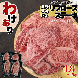 A5 A4 I јa u[X [X Xe[L ӂ낢 900g`1kgi2pbN) `ē BBQ Ya s 󂠂 킯 ؂藎
