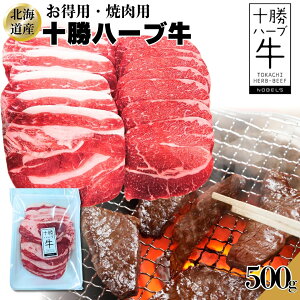 kCY p \n[u ēp 500g(1pbN)` BBQ uߕ  H꒼ Ⓚ szNuht Mtg