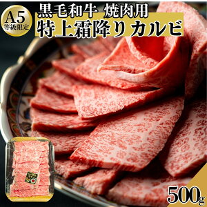 yјaz A5 㑚~Jr ēp 500gi1pbNj` ēp Jr  ē BBQ o[xL[ H꒼ Ⓚ yXIXXz Mtg