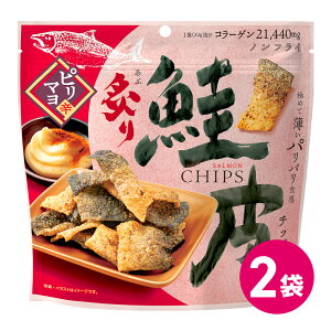 �t�����`�b�v�X �s���h�}�� 2�܃Z�b�g �C�N ���� ���܂� �m���t���C ����`�b�v ����ς��� ������ς� �ᎉ�� ��J�����[ �R���[�Q�� �X�i�b�N �J���V�E�� ���Ԃ� ���� �� ���َq �X�i