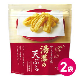 1000円ぽっきり 湯葉の天ぷら だし醤油味 2袋セット 天ぷらお菓子 サクサク 天ぷら お菓子 おつまみ 天ぷらスナック テンプラ てんぷら 天麩羅 揚げ 揚げ物 菓子 おかし スナック菓子 チャック付き MDホールディングス メール便 送料無料