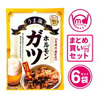 うま塩ホルモンガツ ピリ辛味 6袋セット やみつき 珍味 おつまみ おつまみセット 珍味セット 小袋 食べき…