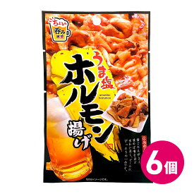 うま塩ホルモン揚げ 6袋セット 珍味 塩 ひと口サイズ おつまみ 詰め合わせ まとめ買い スナックセット おつまみセット 珍味セット 小袋 食べきりサイズ ホルモン から揚げ MDホールディングス お菓子 たんぱく質 高たんぱく 低脂質 低カロリー 低糖質 メール便 送料無料