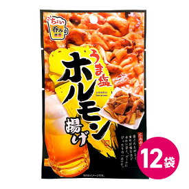 うま塩ホルモン揚げ 12袋セット やみつき ホルモン おつまみ つまみ 珍味 お菓子 食べきりサイズ おつまみセット 詰め合わせ まとめ買い ジャーキー ホルモン肉 たんぱく質 低脂質 低カロリー 高たんぱく 家呑み ケース 業務用 MDホールディングス 商品 条件付き 送料無料