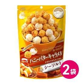 ハッピーポップコーン ハニー バター キャラメル シーソルト お試し 2袋セット ポップコーン フレーバー スナック菓子 お菓子 ポップコーンセット ポップコーンフレーバー MDホールディングス 送料無料