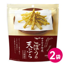 ごぼうの天ぷら 2袋セット 天ぷらお菓子 野菜 詰め合わせ まとめ買い サクサク 天ぷら お菓子 おつまみ 天ぷらスナック テンプラ てんぷら 天麩羅 揚げ 揚げ物 菓子 おかし スナック菓子 チャック付き MDホールディングス 送料無料