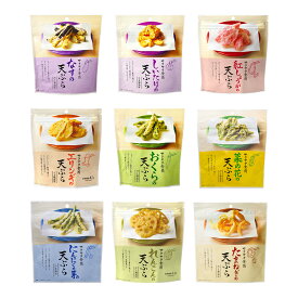 大人気 天ぷらスナック 9種 各1個 詰め合わせ 天ぷら お菓子 野菜チップス 珍味 おつまみ おやつ おくら なす しいたけ エリンギ にんにくの芽 菜の花 たまねぎ 紅しょうが れんこん 素材 揚物 スナック スナック菓子 まとめ買い MDホールディングス 条件付き 送料無料