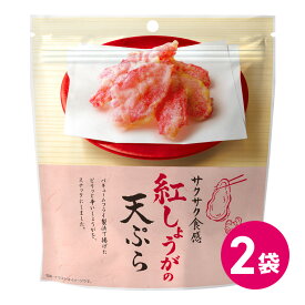 1000円ポッキリ 紅しょうがの天ぷら お試し 2個セット おつまみ お菓子 天ぷらスナック スナック菓子 天ぷら 天麩羅 テンプラ 紅しょうが ショウガ 生姜 べにしょうが しょうが 紅生姜 チャック付き ぽっきり ポッキリ 1000円MDホールディングス 1000円ぽっきり 送料無料