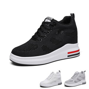 Xj[J[ fB[X Xj[J[ EH[LOV[Y V[Nbg Cq[  Xj[J[ C y ؍ gAbv ₷ ɂ  t 