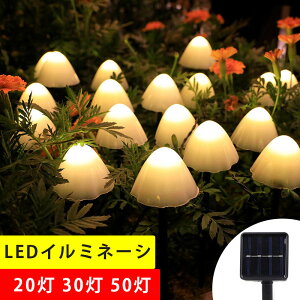 LEDC~l[VCg \[[ LEDCg ̂ Őv K[fjO Lv C~l[VCg 20 30 50  NX}X/p[eB[/AEghA  OΉ 8