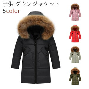 q LbY q _EWPbg xr[  _E jp ۉ AE^[ LbYR[g j̎q ̎q t[ht H~ʉ