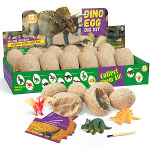 �������@�L�b�g ������������ �������ߋ� �����L�b�g �q�� 12�Z�b�g �e�B���m�T�E���X �v���[���g �M�t�g