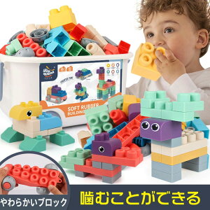 ςݖ 炩 ubN mߋ DIỸpY c  ۈ牀 w  j̎q ̎q 蕨 a oYj  NX}Xv[g 킢 [P[Xt 80PCS