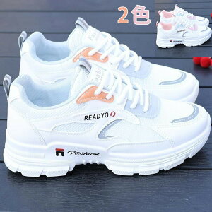 Xj[J[ fB[X Cq[Xj[J[ V[NbgV[Y r ^C EH[LOV[Y JWAV[Y y ₷  ^C X|[c ʋC gAbv 2