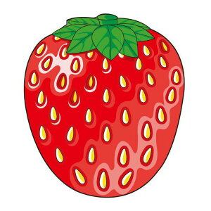 r[`^I ی^ ~^ 唻 ^I r[`}bg oX^I \t@ uPbg O }`Jo[ 150cm ۂ   sU h[ibc pCibv XCJ no[K[ C