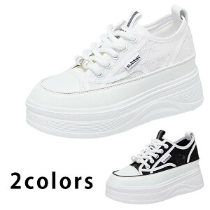 Xj[J[ fB[X Cq[ r tbgV[Y JWA ^EV[Y [XAbv Ȃ h\[   ubN zCg AC{[  킢 wl