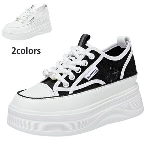 nCq[Xj[J[ fB[X@Xj[J[ fB[X _CGbgXj[J[ EH[LOV[Y C  5cm y ꂢ  Cq[Xj[J[ ₷ V[Y 