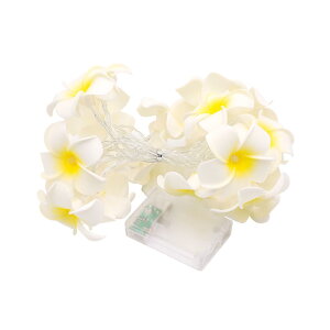 tFA[Cgdled C~l[VCg 3M 20LED dr/USB NX}X c[ Ԍ^ Cg Oh  xbh[ AEghA  Ή a EH[zCg 