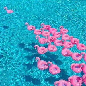 t~S  hN Jbv z_[ hNz_[ 6pbN ChNz_[ t[eBOJbvz_[ v[ Cxg p[eB[ v[ l C 