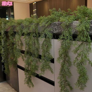 NX}X[X I[ig NX}X̑i Mtg k 蕨 ͋C   fR[V av[g  O xbh[ AEghA  p[eB 